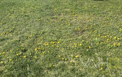 Rodinný dom Hlohovec