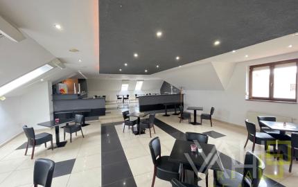 VAHOreal* NOVÁ CENA!! RODINNÝ DOM, REŠTAURÁCIA, Pozemok 788m2, obec Bučany