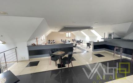 VAHOreal* NOVÁ CENA!! RODINNÝ DOM, REŠTAURÁCIA, Pozemok 788m2, obec Bučany