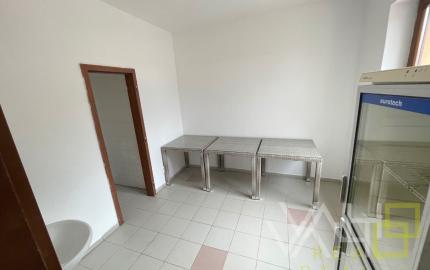 VAHOreal* NOVÁ CENA!! RODINNÝ DOM, REŠTAURÁCIA, Pozemok 788m2, obec Bučany