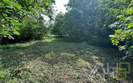 REZERVOVANÉ!!! VAHOreal* RODINNÝ DOM 160m2, POZEMOK až 3923m, DOLNÝ LOPAŠOV, TICHÉ PROSTREDIE