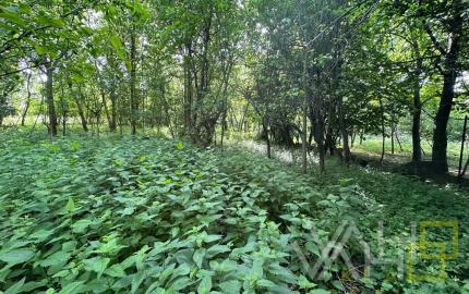 REZERVOVANÉ!!! VAHOreal* RODINNÝ DOM 160m2, POZEMOK až 3923m, DOLNÝ LOPAŠOV, TICHÉ PROSTREDIE