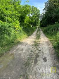 REZERVOVANÉ!!! VAHOreal* RODINNÝ DOM 160m2, POZEMOK až 3923m, DOLNÝ LOPAŠOV, TICHÉ PROSTREDIE