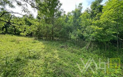 REZERVOVANÉ!!! VAHOreal* RODINNÝ DOM 160m2, POZEMOK až 3923m, DOLNÝ LOPAŠOV, TICHÉ PROSTREDIE