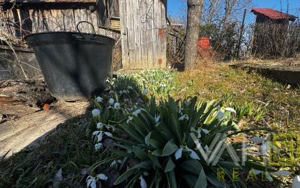 Rodinný dom v pôvodnom stave, vhodný na bývanie – Obec Cerová, Záhorie