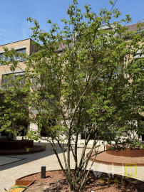 REZIDENCIA HVIEZDOSLAVOVA!! EXKLUZÍVNE IBA u NÁS!! BÝVAJTE V SRDCI TRNAVY