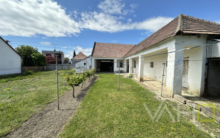 Rodinný dom s veľkým pozemkom a potenciálom – Siladice