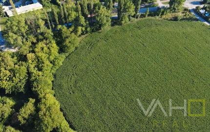 INVESTIČNÁ PRÍLEŽITOSŤ – Pozemok 10 000 m² pre IBV v lukratívnej lokalite Kamenný mlyn, Trnava