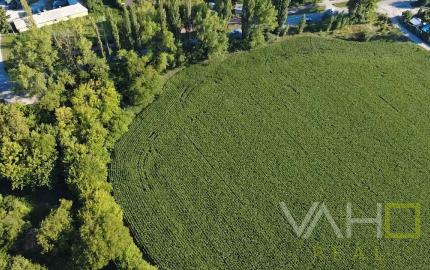 INVESTIČNÁ PRÍLEŽITOSŤ – Pozemok 10 000 m² pre IBV v lukratívnej lokalite Kamenný mlyn, Trnava