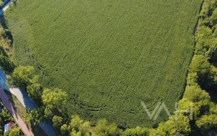 INVESTIČNÁ PRÍLEŽITOSŤ – Pozemok 10 000 m² pre IBV v lukratívnej lokalite Kamenný mlyn, Trnava