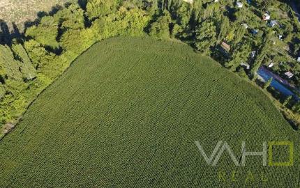 INVESTIČNÁ PRÍLEŽITOSŤ – Pozemok 10 000 m² pre IBV v lukratívnej lokalite Kamenný mlyn, Trnava