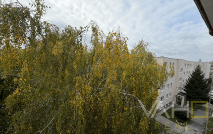 🏡 Na predaj útulný 1-izbový byt v Bratislave – Staré záhrady