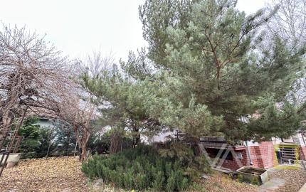 🔑 TOP PONUKA: NA PREDAJ! Obrovský Rodinný Dom so 100% Potenciálom v Seredi!