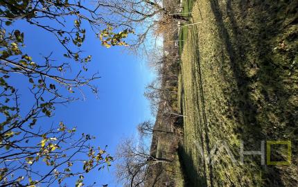 Rodinný dom v pôvodnom stave, vhodný na bývanie – Obec Cerová, Záhorie