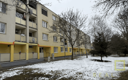 3-IZBOVÝ BYT S LOGGIOU  ŠPAČINSKÁ CESTA  64 m²  TRNAVA