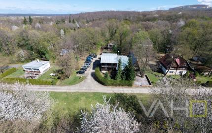 Obrovská chata v pôvodnom stave na úpätí Malých Karpát–Vývrat, Rohožník