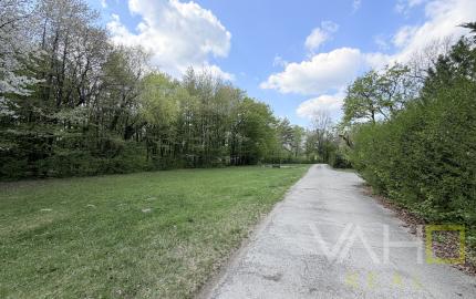 Obrovská chata v pôvodnom stave na úpätí Malých Karpát–Vývrat, Rohožník