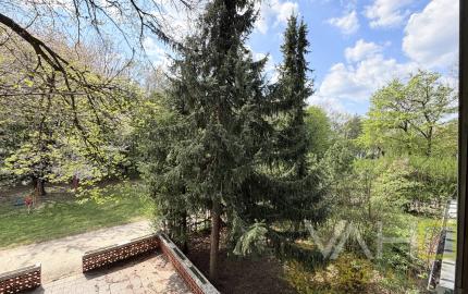 Obrovská chata v pôvodnom stave na úpätí Malých Karpát–Vývrat, Rohožník