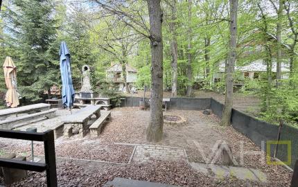 Obrovská chata v pôvodnom stave na úpätí Malých Karpát–Vývrat, Rohožník