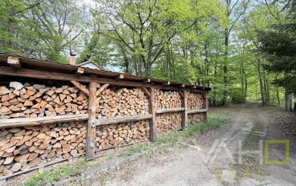 Obrovská chata v pôvodnom stave na úpätí Malých Karpát–Vývrat, Rohožník
