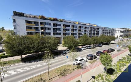 Prenajom  mensi 2 izbovy byt Loggia, ARBORIA Trnava