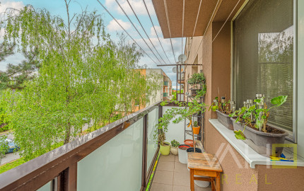 VEĽKÝ  3i byt, výmera až 84m2, balkón, + 20m2 pivnica, tichá lok. plná zelene, Piešťany.