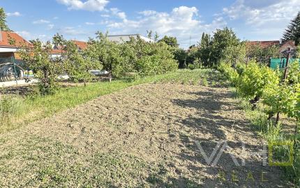 Exkluzívne!!! Na predaj RD s veľkým stavebným pozemkom výmera 1446m2, šírka 18m, Šúrovce, možnosť dokúpiť ďalšie priľahlé pozemky