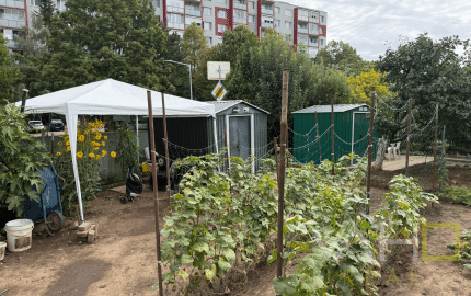 ZÁHRADKA V OSOBNOM VLASTNÍCTVE , 239 m²,  NERUDOVA ul., TRNAVA