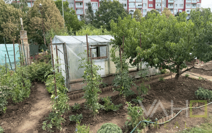 ZÁHRADKA V OSOBNOM VLASTNÍCTVE , 239 m²,  NERUDOVA ul., TRNAVA
