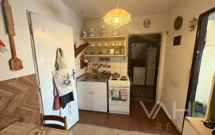 CHATA S VEĽKÝM POZEMKOM A VINICOU VO VINOHRADOCH NAD VÁHOM