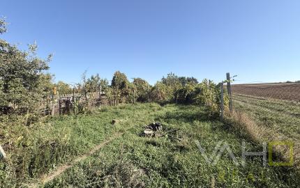 CHATA S VEĽKÝM POZEMKOM A VINICOU VO VINOHRADOCH NAD VÁHOM