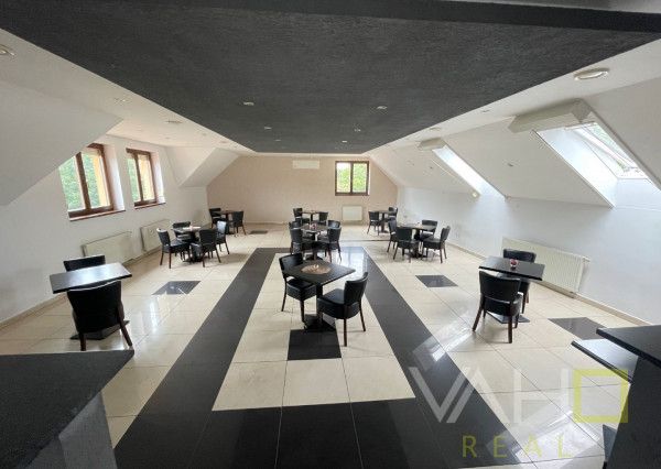 VAHOreal* NOVÁ CENA!! RODINNÝ DOM, REŠTAURÁCIA, Pozemok 788m2, obec Bučany