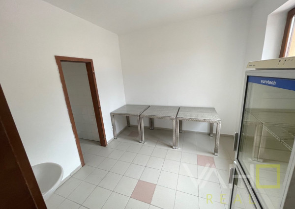 VAHOreal* NOVÁ CENA!! RODINNÝ DOM, REŠTAURÁCIA, Pozemok 788m2, obec Bučany