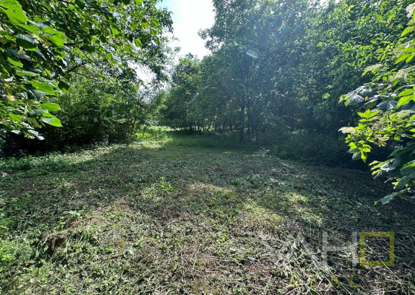 REZERVOVANÉ!!! VAHOreal* RODINNÝ DOM 160m2, POZEMOK až 3923m, DOLNÝ LOPAŠOV, TICHÉ PROSTREDIE