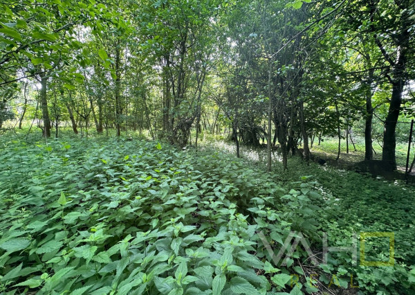 REZERVOVANÉ!!! VAHOreal* RODINNÝ DOM 160m2, POZEMOK až 3923m, DOLNÝ LOPAŠOV, TICHÉ PROSTREDIE