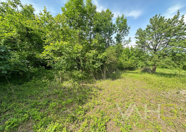 REZERVOVANÉ!!! VAHOreal* RODINNÝ DOM 160m2, POZEMOK až 3923m, DOLNÝ LOPAŠOV, TICHÉ PROSTREDIE