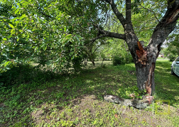 REZERVOVANÉ!!! VAHOreal* RODINNÝ DOM 160m2, POZEMOK až 3923m, DOLNÝ LOPAŠOV, TICHÉ PROSTREDIE