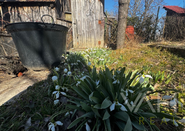 Rodinný dom v pôvodnom stave, vhodný na bývanie – Obec Cerová, Záhorie