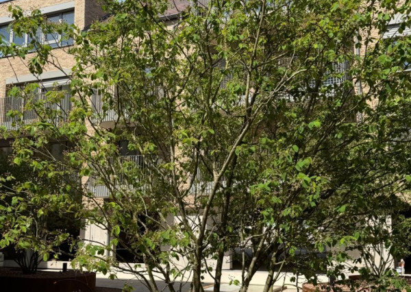 REZIDENCIA HVIEZDOSLAVOVA!! EXKLUZÍVNE IBA u NÁS!! BÝVAJTE V SRDCI TRNAVY