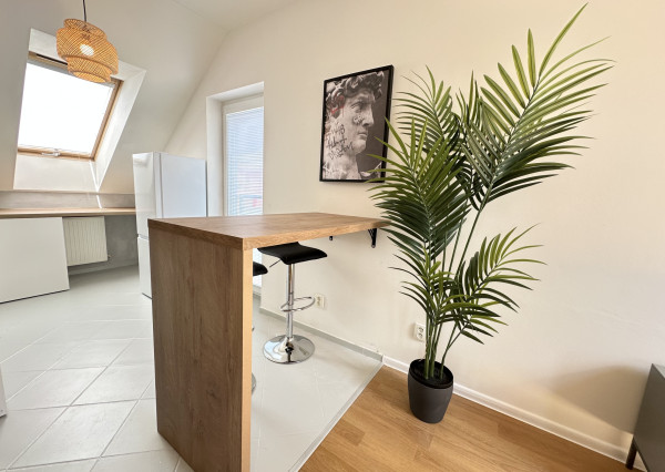 PREDANÉ! Kompletne zariadený 1,5 - izbový byt s parkingom v Bielom Kostole