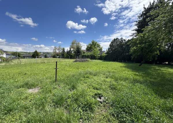 Rodinný dom s veľkým pozemkom a potenciálom – Siladice