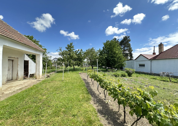 Rodinný dom s veľkým pozemkom a potenciálom – Siladice