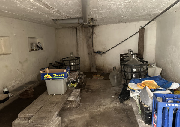 Rodinný dom s veľkým pozemkom a potenciálom – Siladice