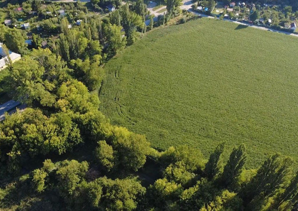 INVESTIČNÁ PRÍLEŽITOSŤ – Pozemok 10 000 m² pre IBV v lukratívnej lokalite Kamenný mlyn, Trnava