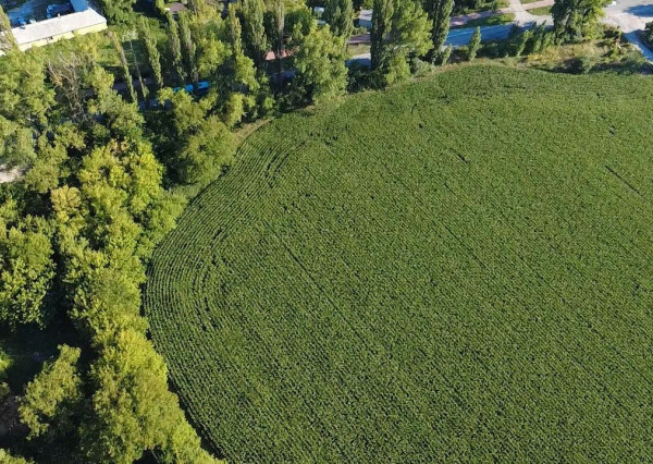 INVESTIČNÁ PRÍLEŽITOSŤ – Pozemok 10 000 m² pre IBV v lukratívnej lokalite Kamenný mlyn, Trnava