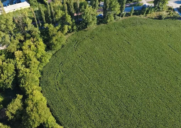 INVESTIČNÁ PRÍLEŽITOSŤ – Pozemok 10 000 m² pre IBV v lukratívnej lokalite Kamenný mlyn, Trnava