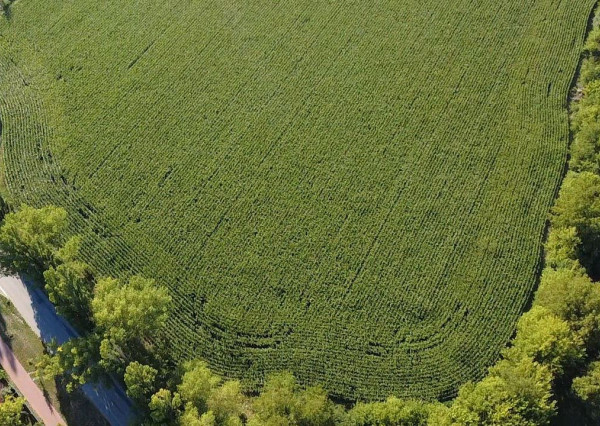 INVESTIČNÁ PRÍLEŽITOSŤ – Pozemok 10 000 m² pre IBV v lukratívnej lokalite Kamenný mlyn, Trnava