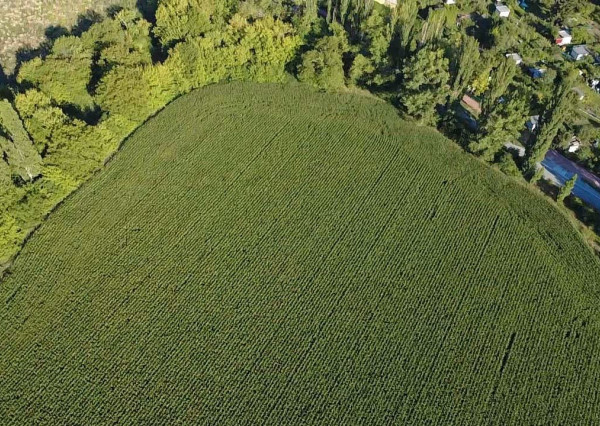 INVESTIČNÁ PRÍLEŽITOSŤ – Pozemok 10 000 m² pre IBV v lukratívnej lokalite Kamenný mlyn, Trnava