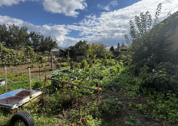 🏡 Na predaj: tehlový rodinný dom s veľkým pozemkom v obci Váhovce – ideálny na rekonštrukciu alebo výstavbu nového domu 🌿