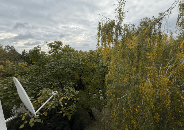 🏡 Na predaj útulný 1-izbový byt v Bratislave – Staré záhrady